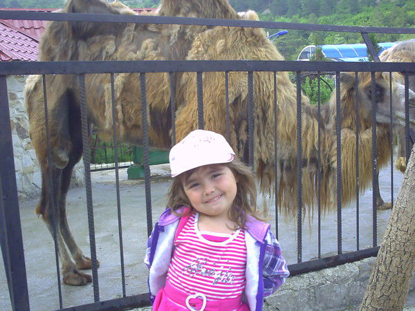 Рустам Галимулин