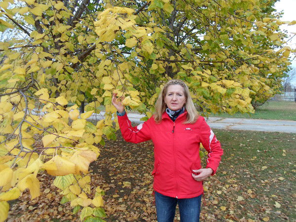 Галина Чепиго