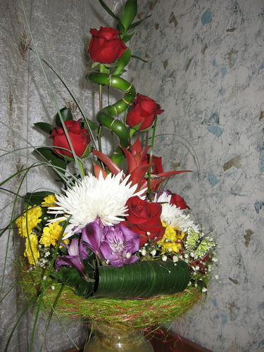 Светлана *******