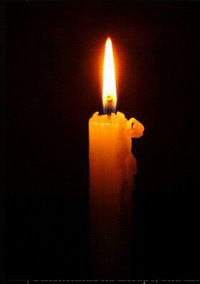 Марина Зуенкова