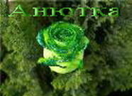 Анна Филиппова