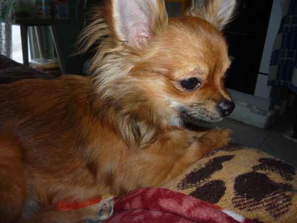 Алина Белова