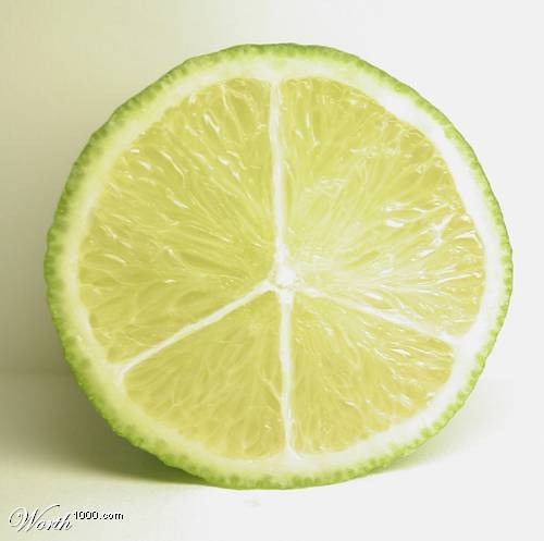 Владимир Шамаев