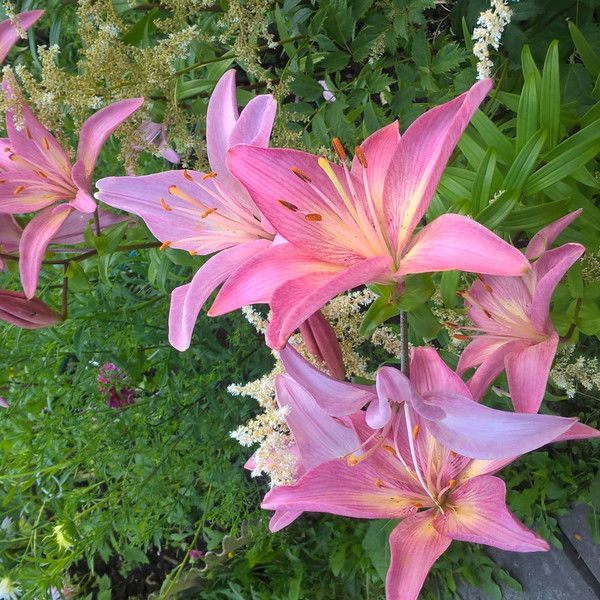 Татьяна Цыкарева