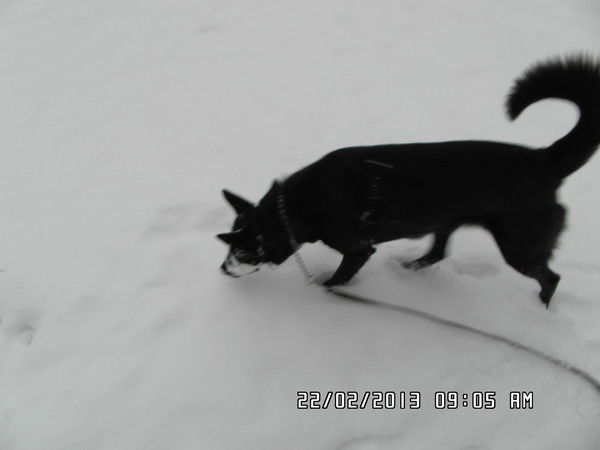 Марина Томило