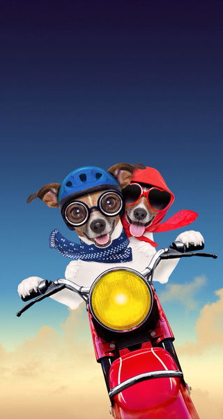 Александр Рем