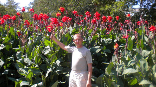 Сергей Доценко