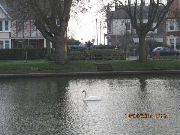 Эльвира Анисимова