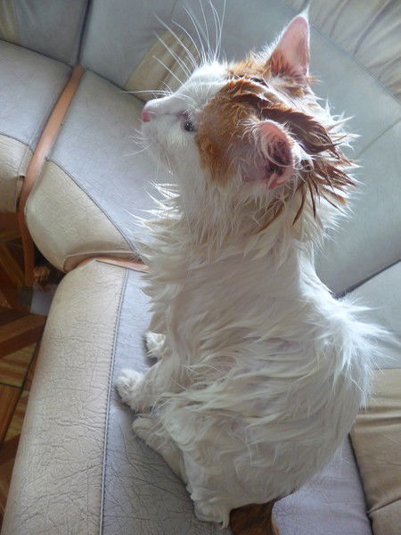 Татьяна Ктоэто?))