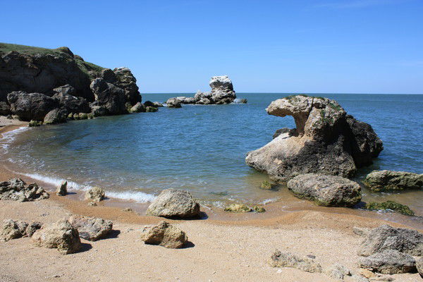 Фирма "микс"