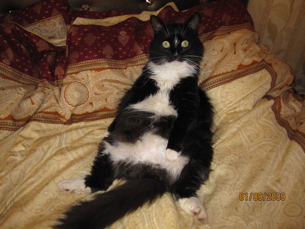 Наталья Неизвестно