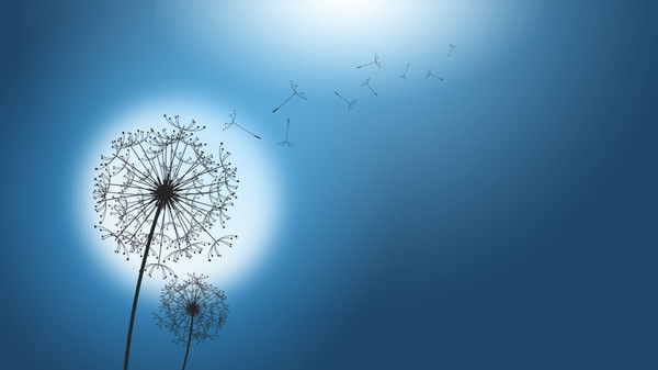 Альбина Тастембекова