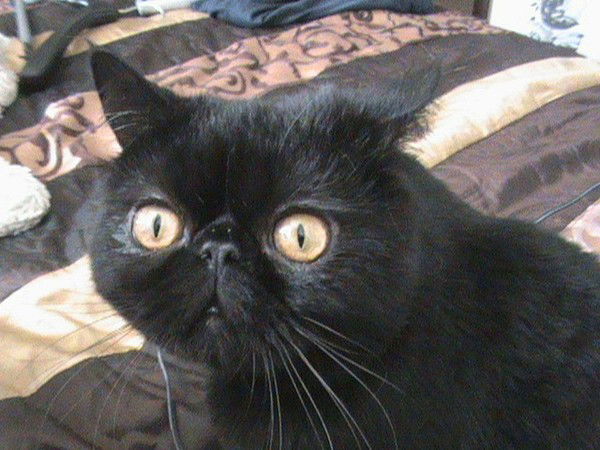 Наталья Батина