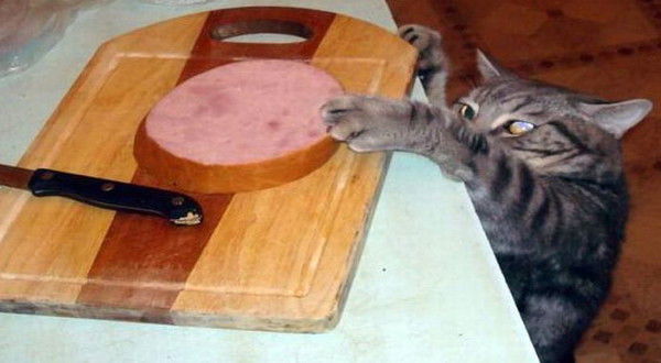 К Александр