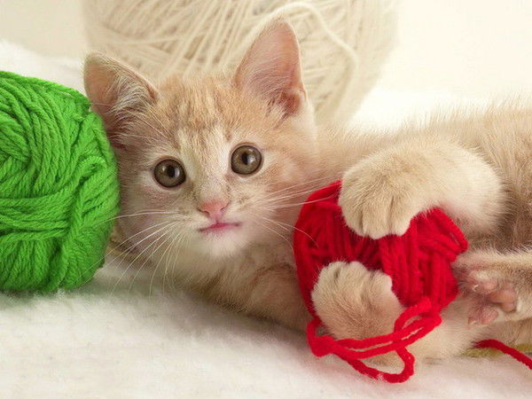 Румия Ахмиева