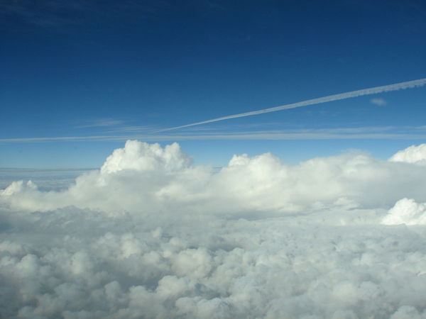 Константин Преображенский