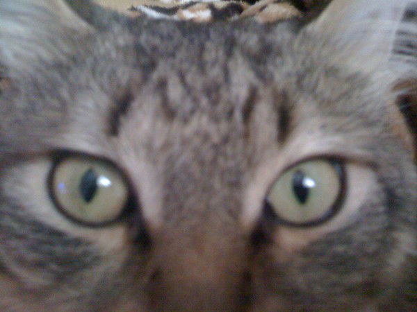 Елизавета Мурзаева