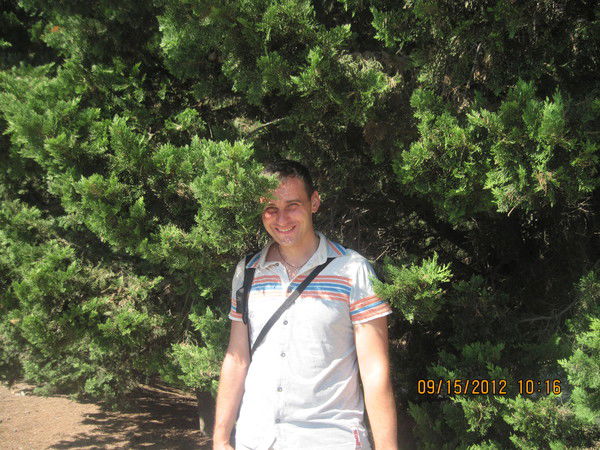 Дмитрий Кривой