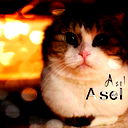 Asel Asel