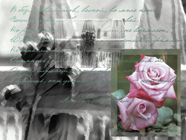 *****алёна *****