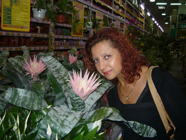 Аня Свинцицкая