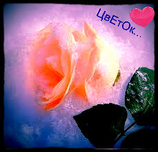 Я Такая Какая Есть