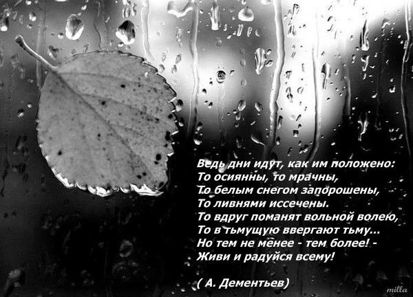 Нурхат Халелов