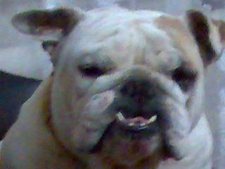 Константин Денинзон