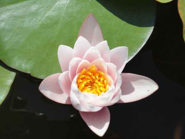 Айрат Басимов