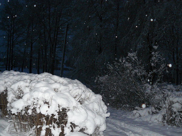 Юсуп Магадов