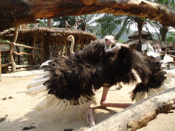 Валентина Якубова