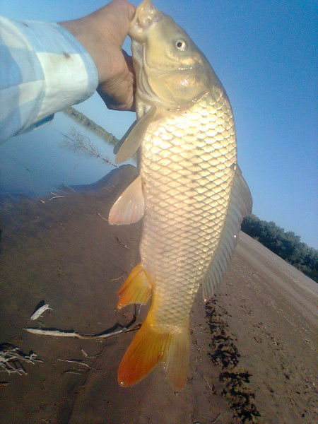 Рустам Владимирович