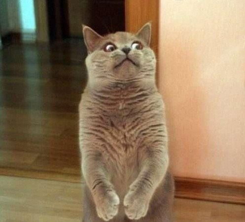 Игорь Карцев