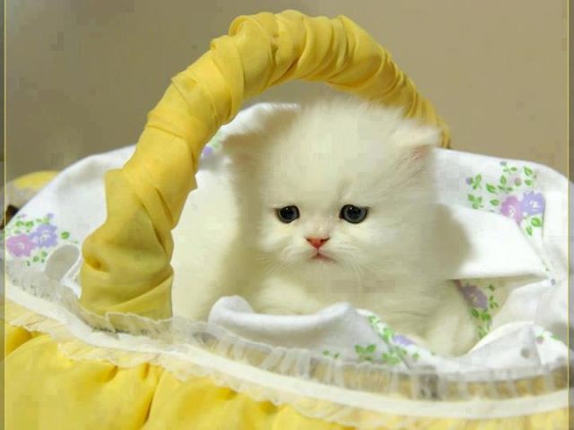 Лилия Будникова