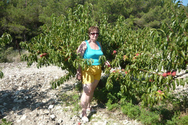 Тамара Троицкая