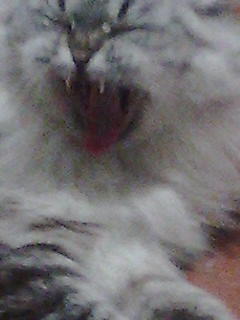 Макс Линник