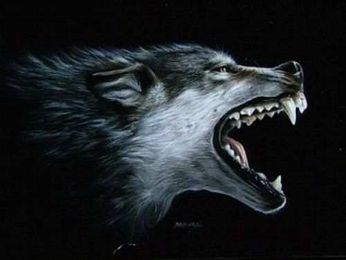 Андрей Воронько