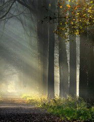 Ооо Терминал