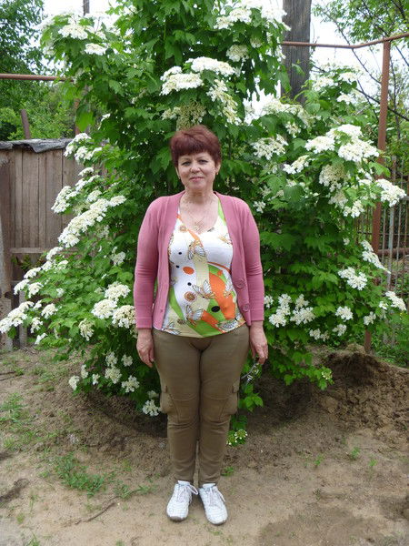 Люба Волкова