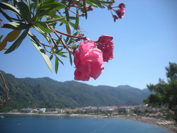 Софья Кутюхина