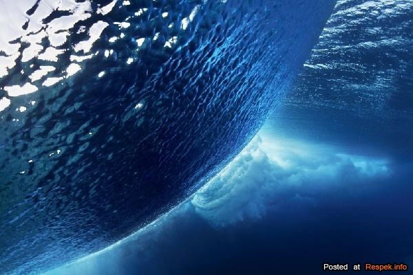 Инна Беккер