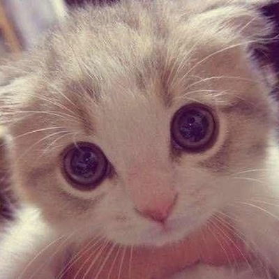 Надежда Макеева