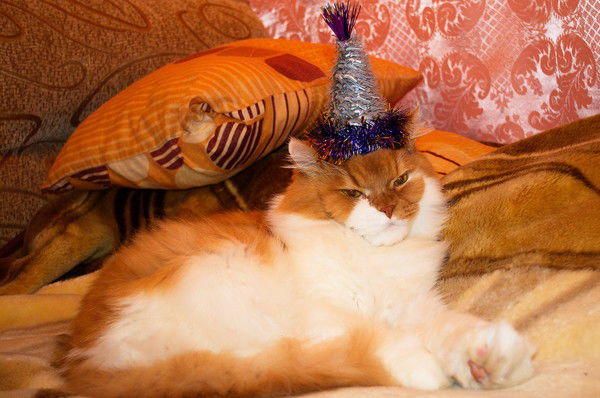 Сергей Шиланский