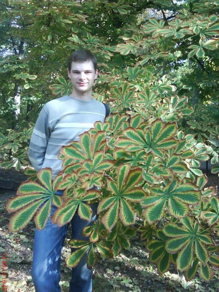 Валера Литвиненко