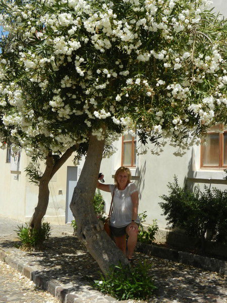 Елена Николаева