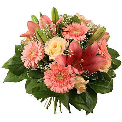 Светлана Львова