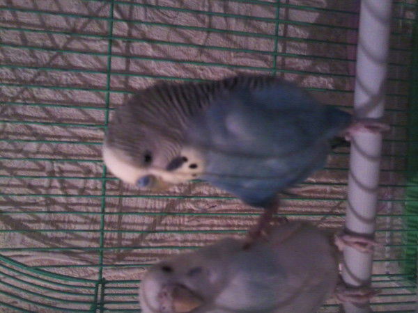 Āᾗḭ₮₳ Ὲ®Ɯɇɇßα