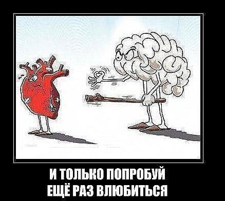 Елена Начёкина