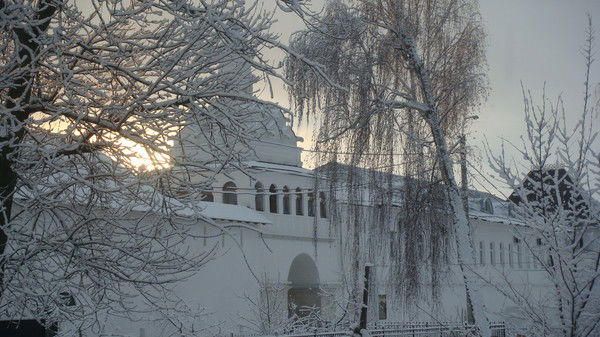 Елена Флоря