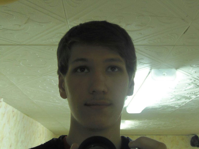 Василий Мышкин